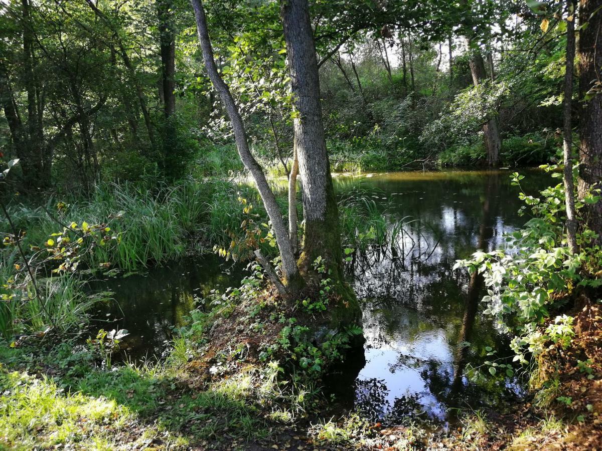 Mazurska Knieja Villa Milakowo ภายนอก รูปภาพ