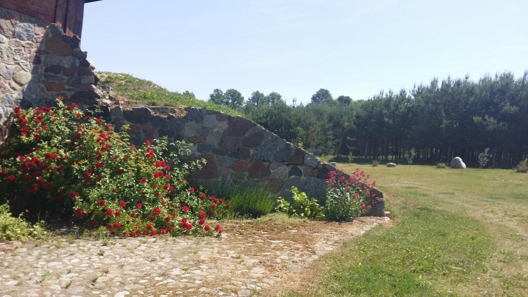 Mazurska Knieja Villa Milakowo ภายนอก รูปภาพ