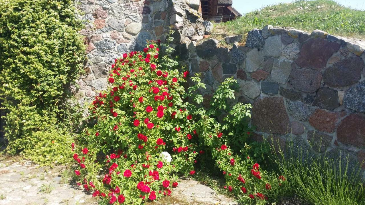 Mazurska Knieja Villa Milakowo ภายนอก รูปภาพ
